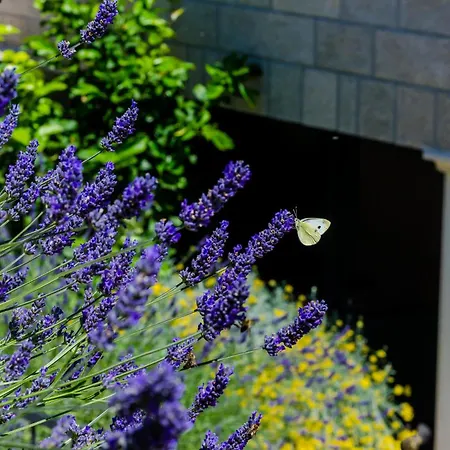 Beautiful In With Wifi Dom wakacyjny *