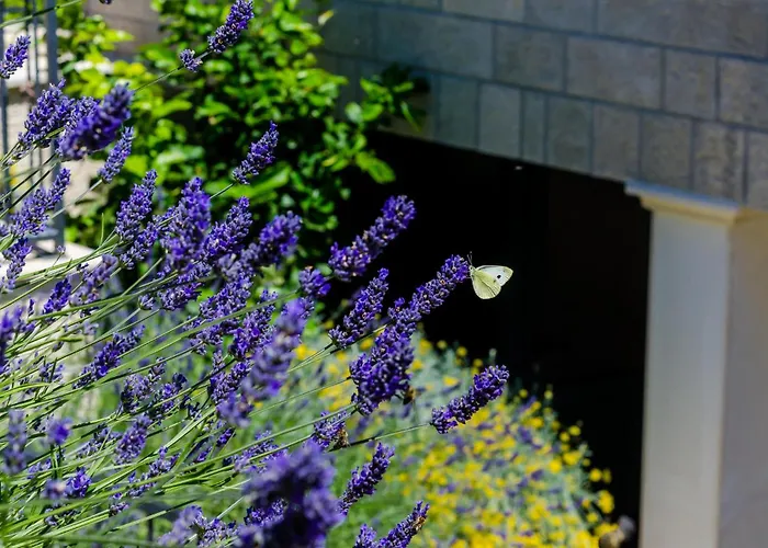 Beautiful In With Wifi Дом отдыха *